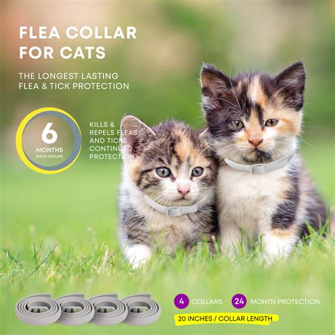 Does A Cat Flea Collar Kill Fleas