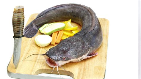 does a catfish have a backbone