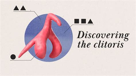 does a clitoris get hard