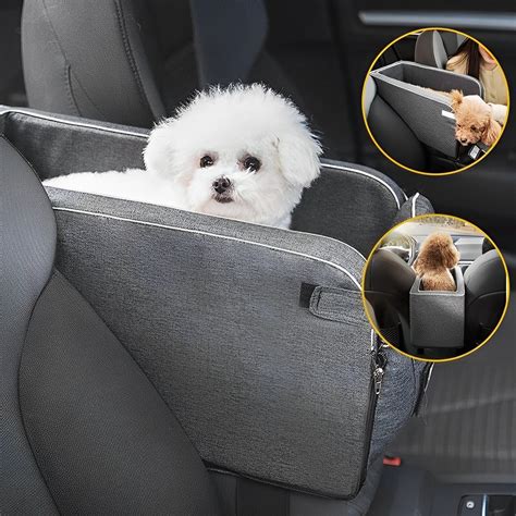 Does A Dog Count As Carpool