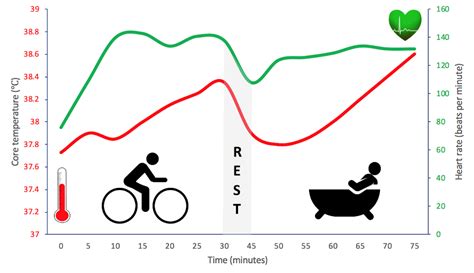 Does A Hot Bath Increase Heart Rate