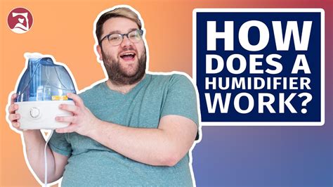 Does A Humidifier Help With High Humidity