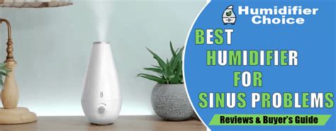 Does A Humidifier Help With Sinus Problems