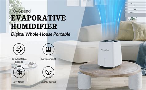 Does A Humidifier Work In A Large Room