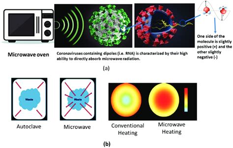 Does A Microwave Kill Germs And Viruses