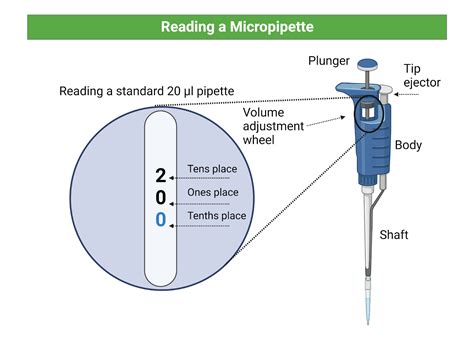 Does A Pipette Measure Volume