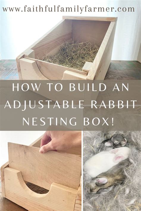 Does A Rabbit Need A Nesting Box