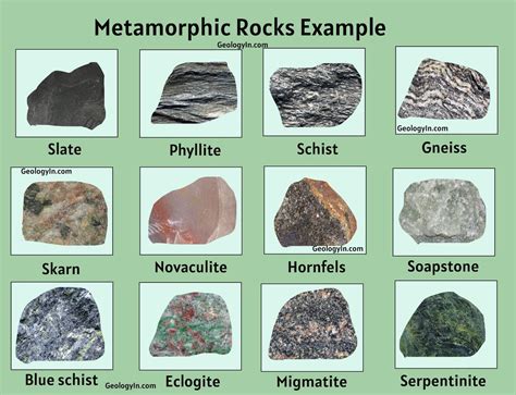 does a rock have cells