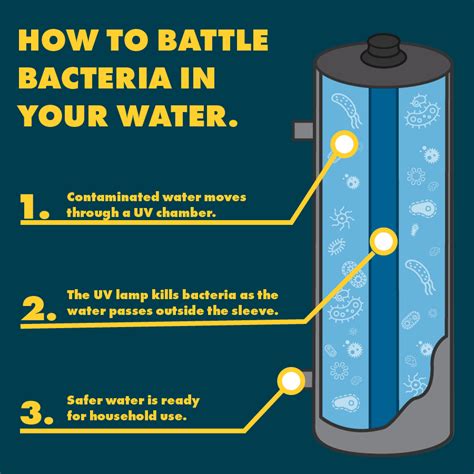Does A Water Filter Kill Bacteria