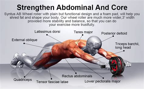 Does Ab Roller Causes Back Pain