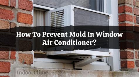 Does Ac Prevent Mold