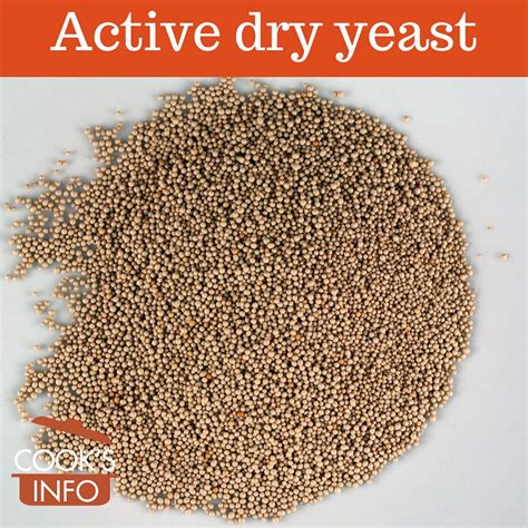 Does Active Dry Yeast Bloom