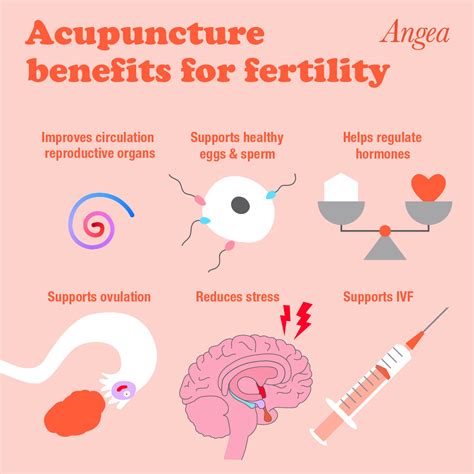 Does Acupuncture Work With Ivf