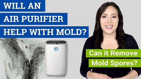 Does Air Purifier Help With Mold