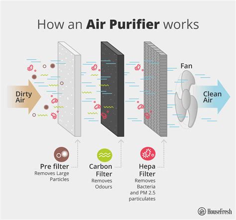 Does Air Purifier Work As Dehumidifier