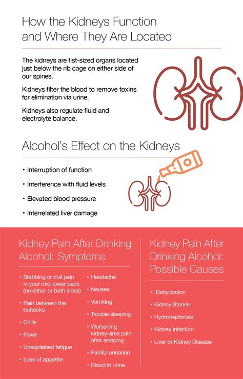 Does Alcohol Cause Uti