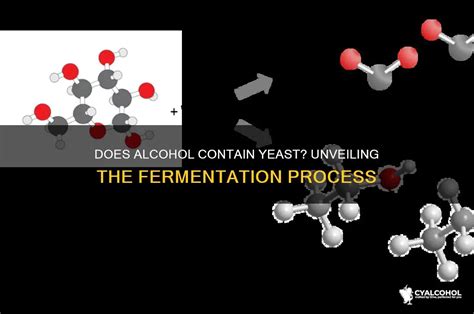 Does Alcohol Contain Yeast