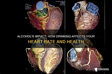 Does Alcohol Raise Dht