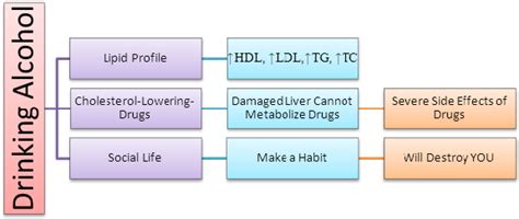 Does Alcohol Raise Ldl