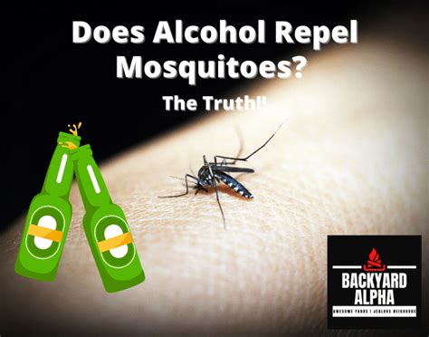 does alcohol repel mosquitoes