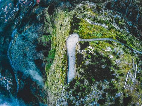 Does Algae Have A Defined Boundary