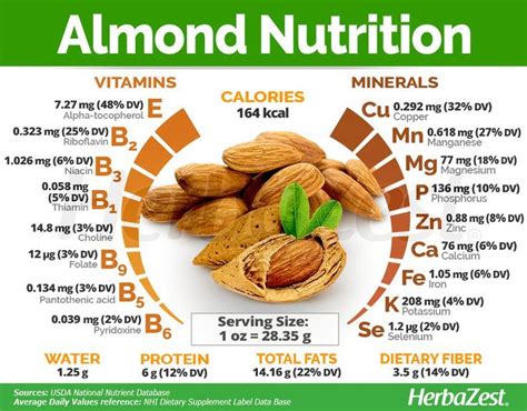 Does Almonds Have Fibre