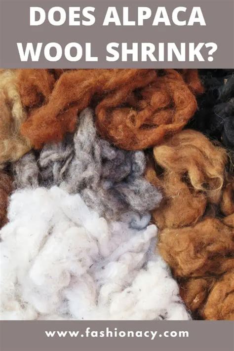 Does Alpaca Wool Stink