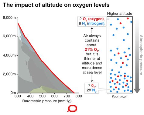 Does Altitude Change Affect Babies