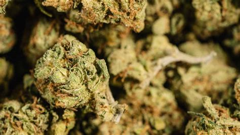 does amazon dsp test for weed