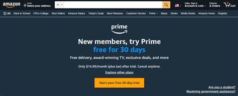 Does Amazon Prime Include Gst