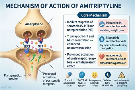 Does Amitriptyline Work For Tooth Pain