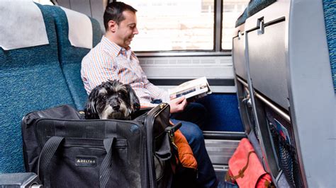 Does Amtrak Allow Pets In Cages