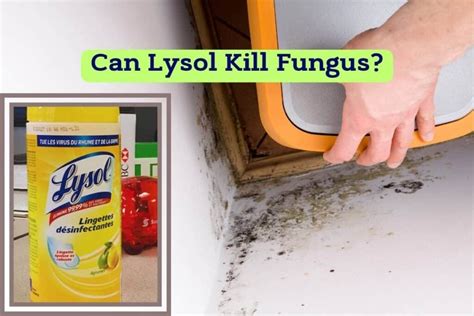 Does Antiseptic Kill Fungus