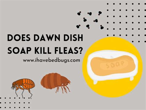 Does Any Dawn Soap Kill Fleas