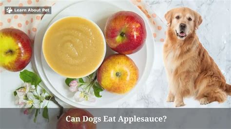 Does Applesauce Help Constipation In Dogs
