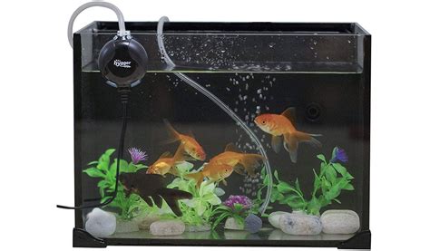 Does Aquarium Need Air Pump