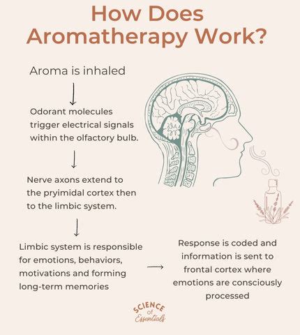 Does Aromatherapy Candles Work