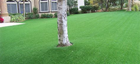 Does Artificial Grass Kill Trees