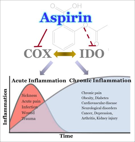 Does Aspirin Help with Inflammation: Uncovering the Facts