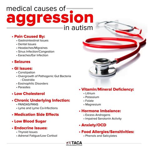 does autism make you aggressive