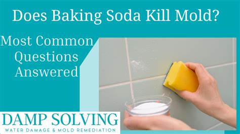 Does Baking Soda Kill Mold In Clothes