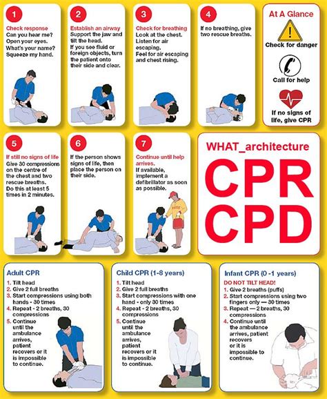 does basic first aid include cpr