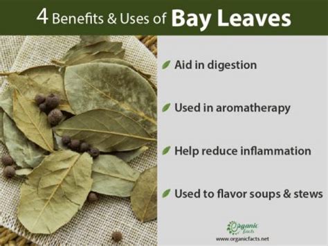 Does Bay Leaf Do Anything