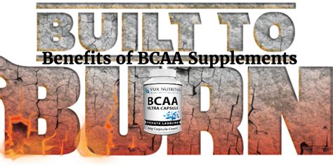 Does Bcaa Burn Fat