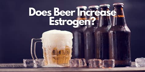 Does Beer Affect Estrogen Levels