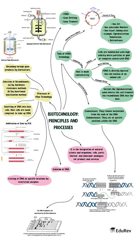 does biotechnology require neet