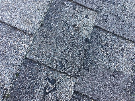 Does Bird Poop Damage Shingles