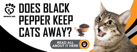 Does Black Pepper Repel Cats