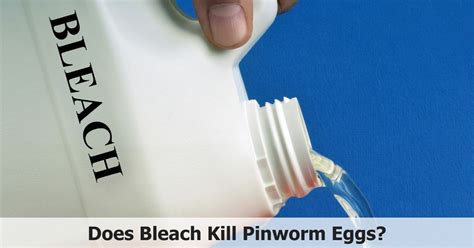 does bleach kill pinworms