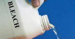 Does Bleach Remove Oil